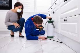 Best Bed Bug Extermination  in Granite Falls, NC