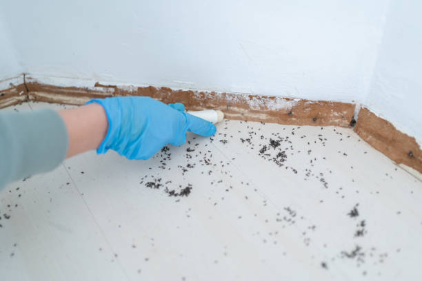 Best Pest Control for Hotels  in Granite Falls, NC